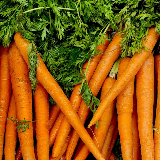 Carrot